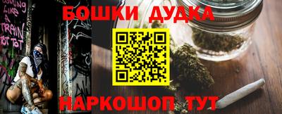 прущие крисы Моздок
