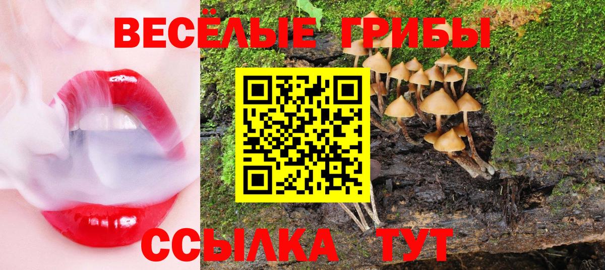 Галлюциногенные грибы Psilocybine cubensis  Псилоцибиновые грибы мухоморы  Электросталь  Вход с VPN 